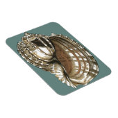 海宝石 マグネット (右側)