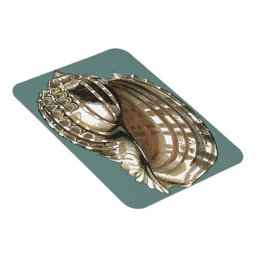 海宝石 マグネット (右側)