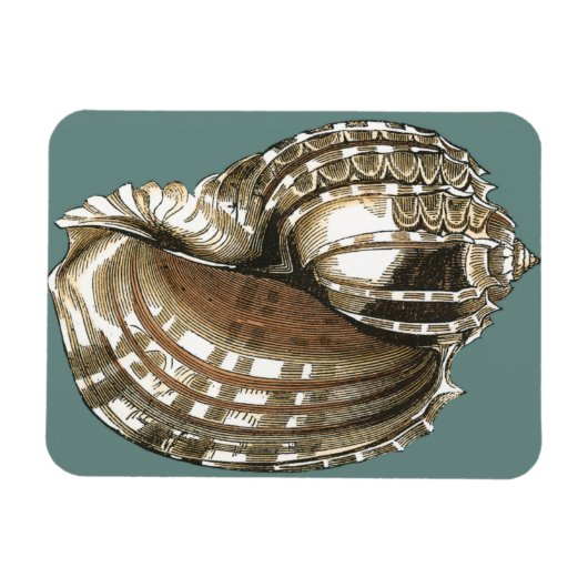 海宝石 マグネット (横)