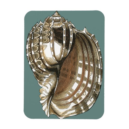 海宝石 マグネット (縦)