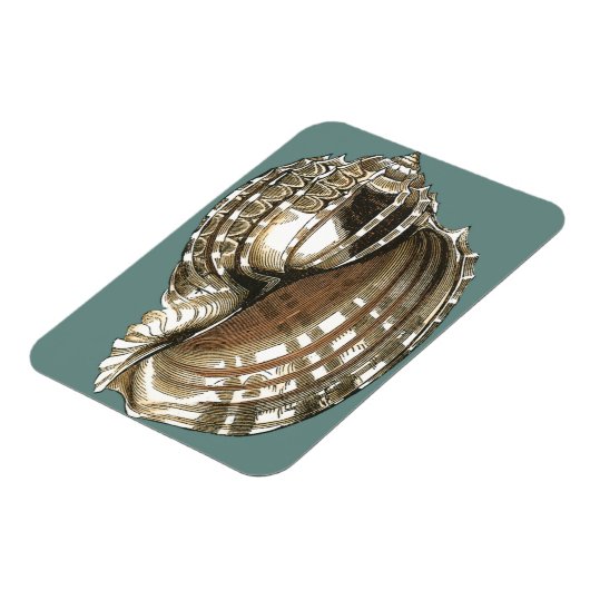 海宝石 マグネット (左側)