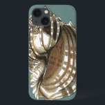 海宝石 iPhone 13ケース<br><div class="desc">海の素晴らし宝石の一つがこの画像にある。この大きなコンチの貝殻を見つけるモダン.この大きなコンチの貝殻の画像は、ティール(緑がかった色)の背景とセピアと白いシェルを持っている。このリラックス自然素晴らしなアートワークで得る。</div>