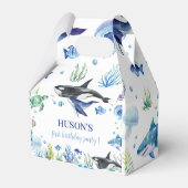 海少年誕生日フライトボックスタートルクジラ フェイバーボックス (裏面サイド)