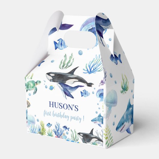 海少年誕生日フライトボックスタートルクジラ フェイバーボックス (裏面サイド)