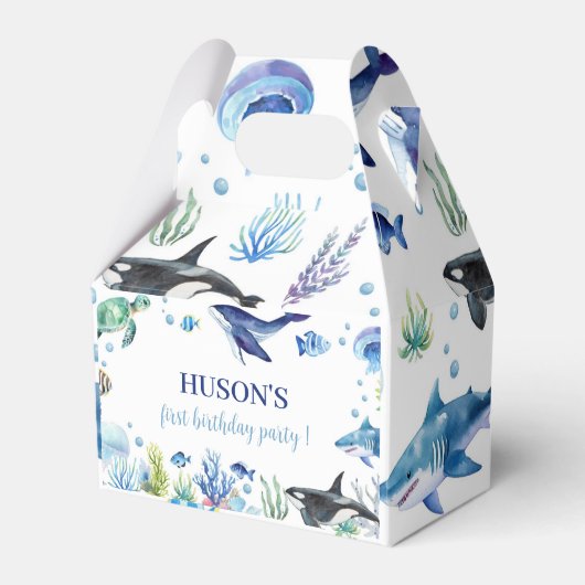 海少年誕生日フライトボックスタートルクジラ フェイバーボックス (正面サイド)