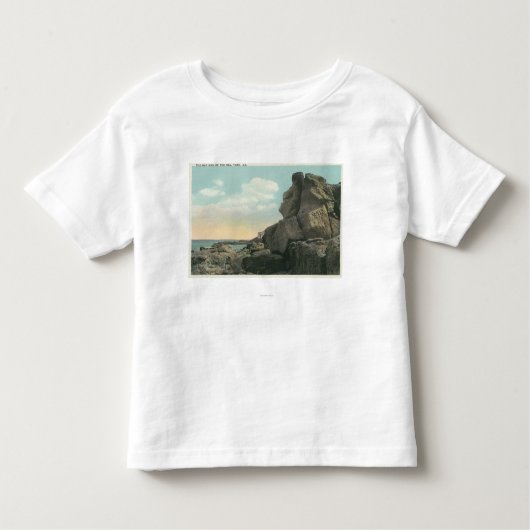 海岩層の老人の見解 トドラーTシャツ (正面)