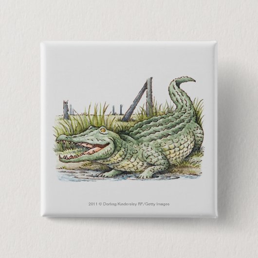 海岸のわにのイラストレーション 缶バッジ (正面)