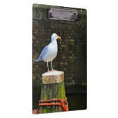 海岸のカモメの鳥と海洋野生生物の写真 クリップボード (右)