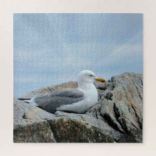 海岸のカモメ ジグソーパズル (縦)