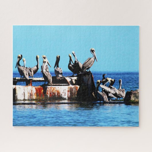 海岸のペリカンジグソーパズル ジグソーパズル (横)