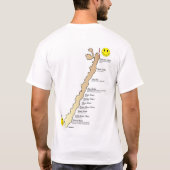 海岸の事!! Tシャツ (裏面)