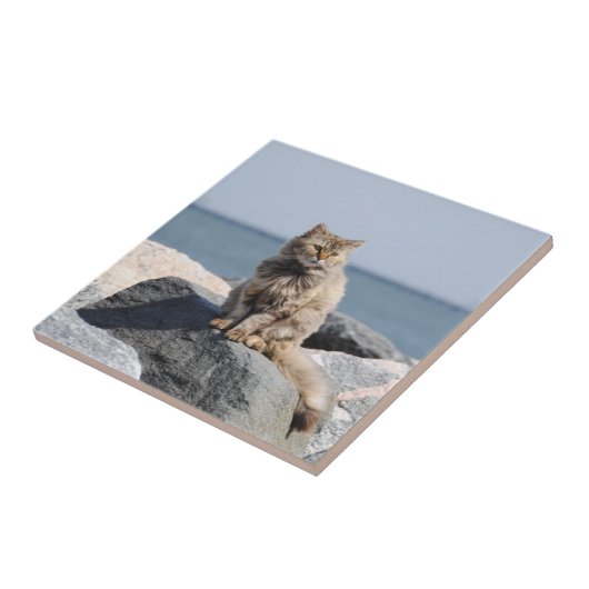 海岸の吹きさらしの猫 タイル (側面)