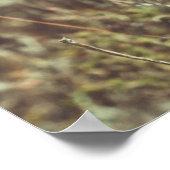 海岸の夏の日 ポスター (角)