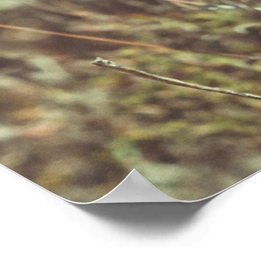 海岸の夏の日 ポスター (角)