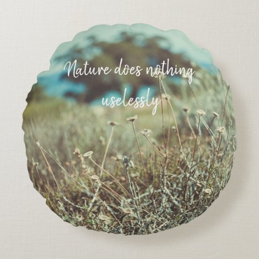 海岸の夏の日 ラウンドクッション (正面)