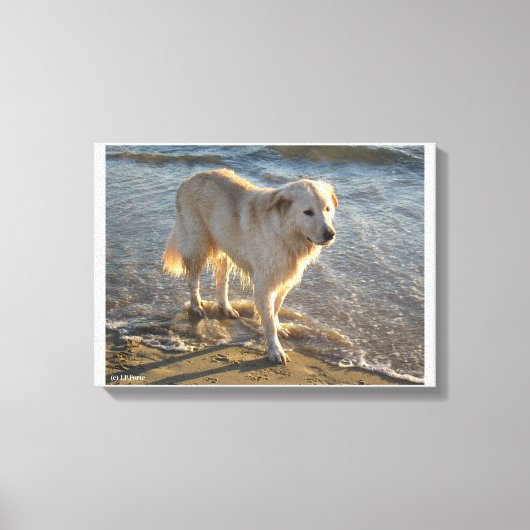 海岸の犬 キャンバスプリント (正面)