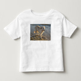 海岸の犬 トドラーTシャツ