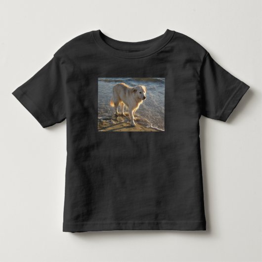 海岸の犬 トドラーTシャツ (正面)