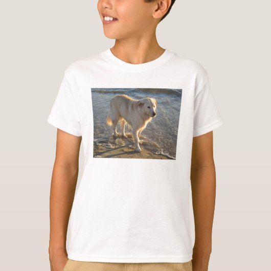 海岸の犬 Tシャツ (正面)