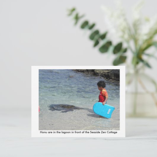 海岸の禅のコテージの前の礁湖のHonu ポストカード (スタンド正面)