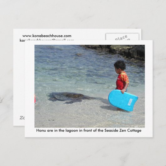 海岸の禅のコテージの前の礁湖のHonu ポストカード (正面/裏面)