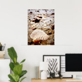 海岸の貝殻…プリント ポスター (ホームオフィス)