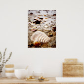 海岸の貝殻…プリント ポスター (キッチン)