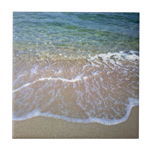 海岸の陶磁器の写真のタイル タイル (正面)