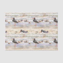 海岸の鳥たち 薄葉紙