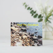 海岸の鳥を見つける… ポストカード (スタンド正面)