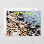 海岸の鳥を見つける… ポストカード (正面/裏面)