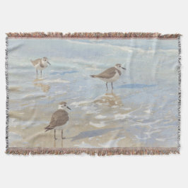 海岸アート シギがいるビーチ スローブランケット