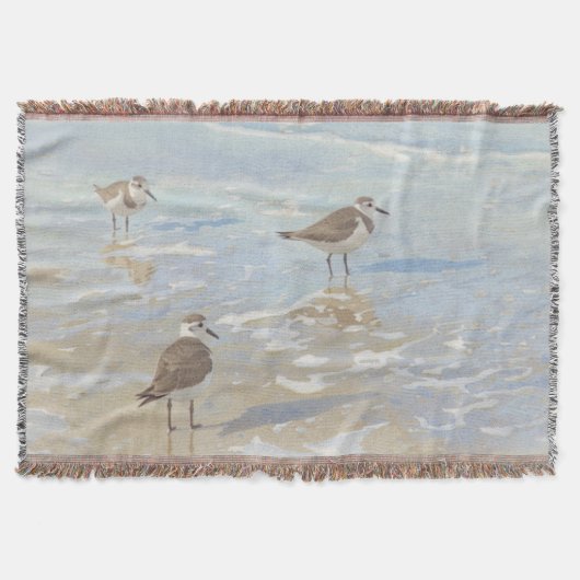海岸アート シギがいるビーチ スローブランケット (正面)