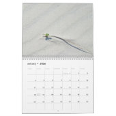 海岸カレンダーの植物 カレンダー (1月 2026)