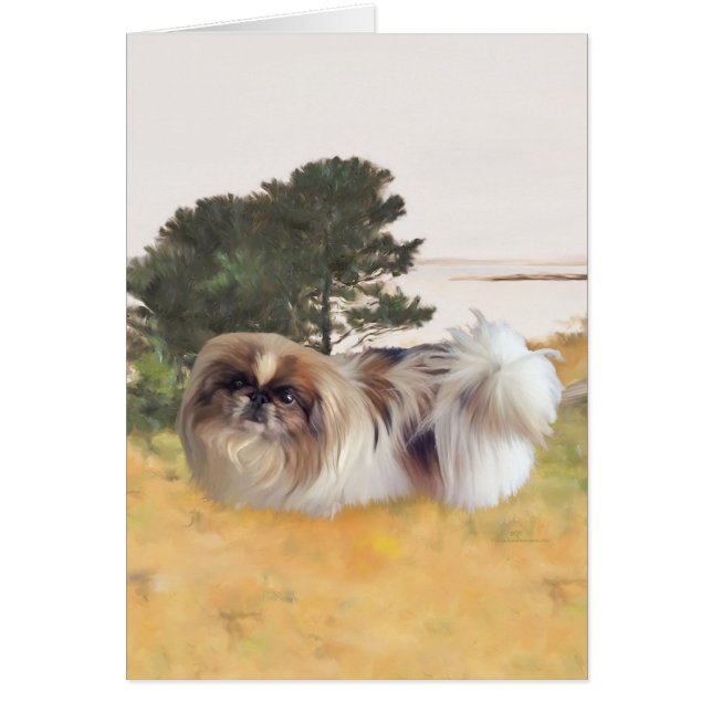 海岸探検 (正面)