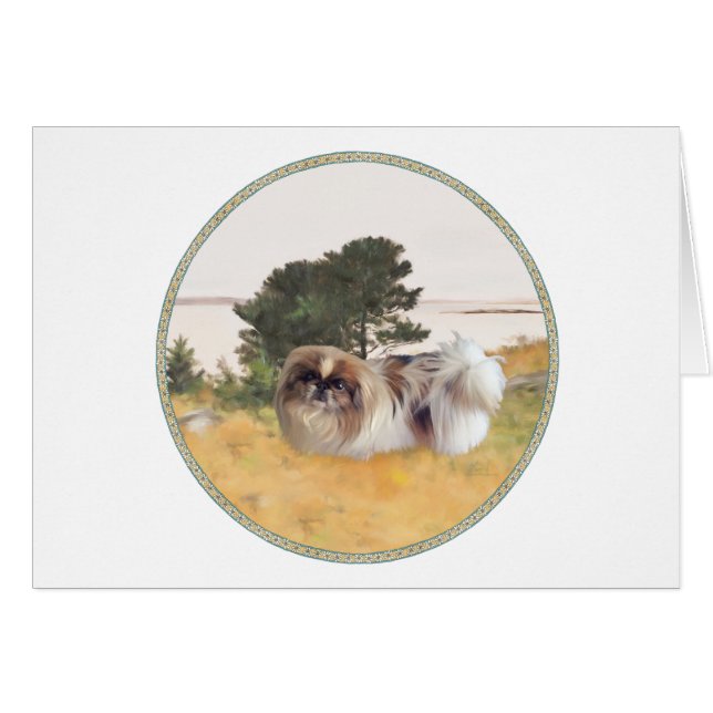 海岸探検 (正面横)