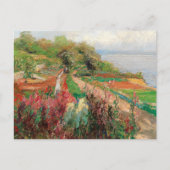 海岸景観 | Olga Wisinger-Florian ポストカード (正面)