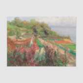 海岸景観 | Olga Wisinger-Florian 薄葉紙 (正面)