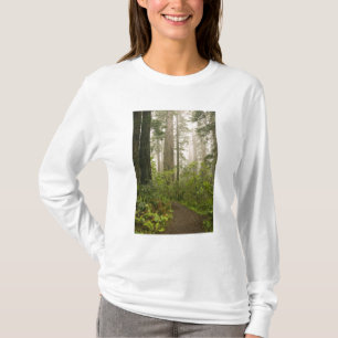 海岸沿いのレッドウッドの間のシャクナゲの花 / Tシャツ