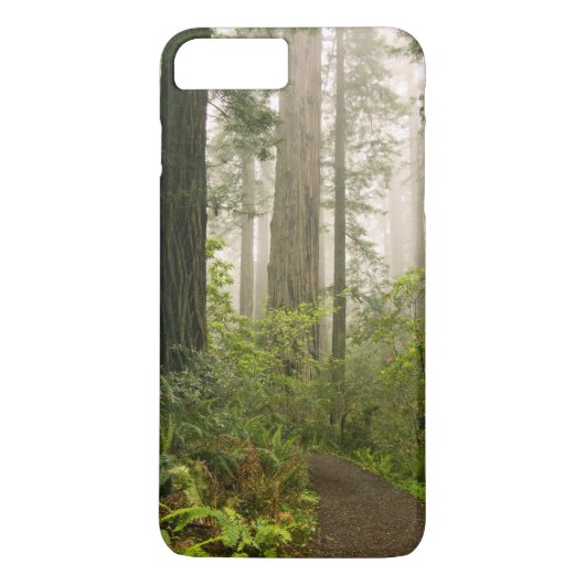 海岸沿いのレッドウッドの間のシャクナゲの開花 / Case-Mate iPhoneケース (裏面)