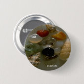 海岸沿いの貝殻 缶バッジ (正面&裏面)