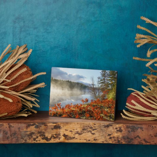 海岸沿いシダ |パラダイス，ミシガン フォトプラーク (側面)