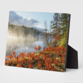 海岸沿いシダ |パラダイス，ミシガン フォトプラーク (側面)