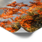 海岸沿いシダ |パラダイス，ミシガン ポスター (角)