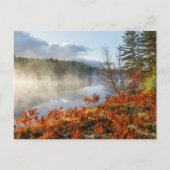 海岸沿いシダ |パラダイス,ミシガン ポストカード (正面)