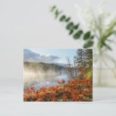 海岸沿いシダ |パラダイス,ミシガン ポストカード (スタンド正面)