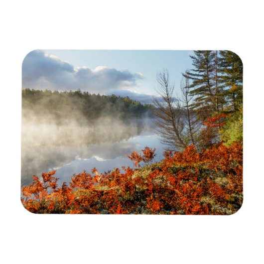 海岸沿いシダ |パラダイス，ミシガン マグネット (横)