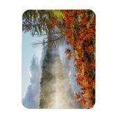 海岸沿いシダ |パラダイス，ミシガン マグネット (縦)