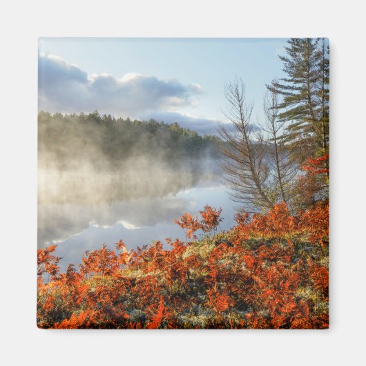 海岸沿いシダ |パラダイス，ミシガン マグネット (正面)