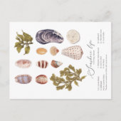 海岸生活はがき シーズンポストカード (正面)